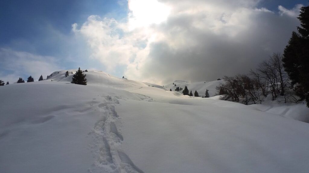 Col Cornier Piancavallo PN