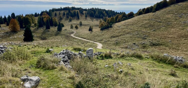 Vista sulle alture di Piancavallo durante l'anello in MTB